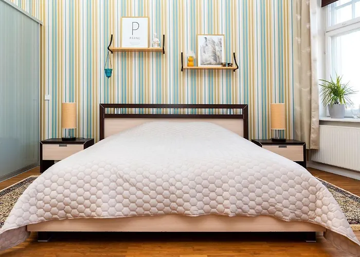 Suur-sepa Apartmán *